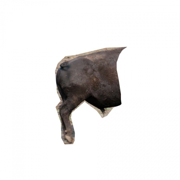 Creation of Boof A' Loo: Step 4